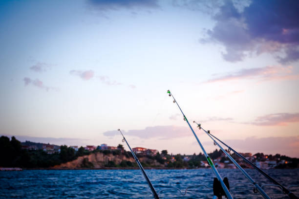 850+ Multiple Fishing Poles Stock Photos, Pictures & Royalty-Free