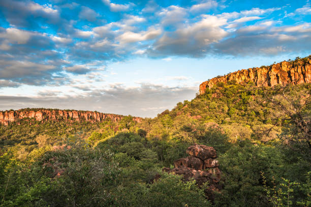 waterberg plateau and the national park, namibia - landscape panoramic kalahari desert namibia imagens e fotografias de stock