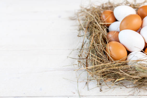 istock Fresh country eggs with straw on rustic wooden table, free space 836654476
