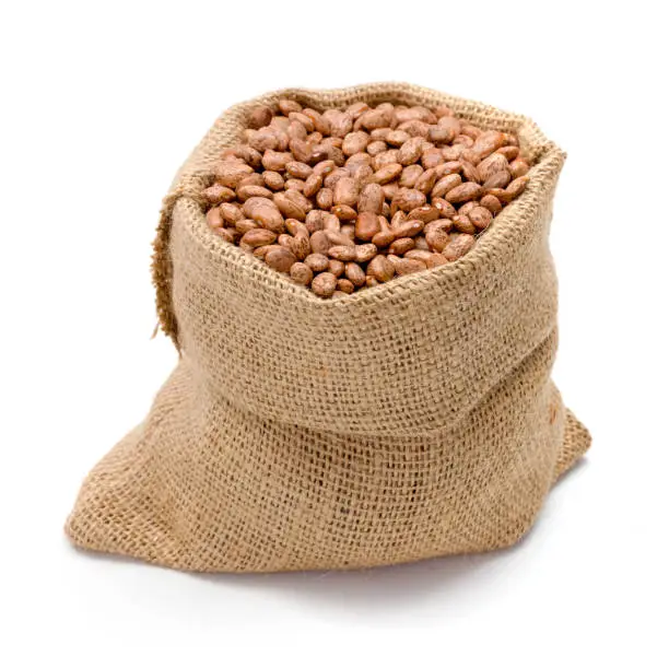 Loose dry pinto beans in burlap sack