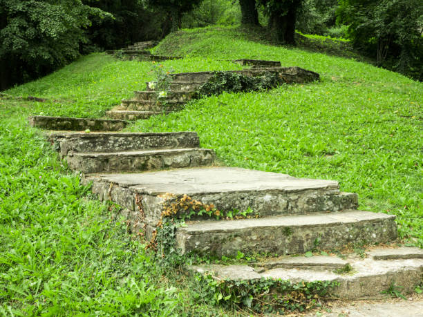 Fabulous green hill with stairway to the top
