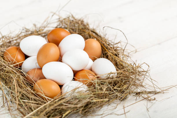 istock Fresh country eggs with straw on rustic wooden white table 836657104