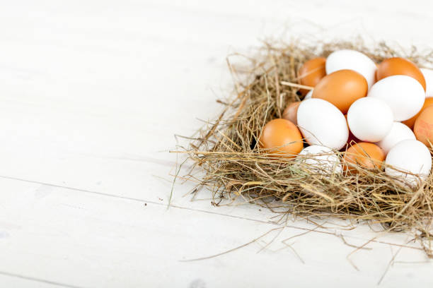 istock Fresh country eggs with straw on rustic wooden table, free space 836657298