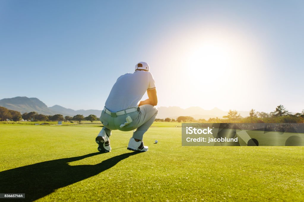 Golf player aiming shot on course Rear view of golf player aiming shot on course. Pro golfer on field during game. Adult Stock Photo