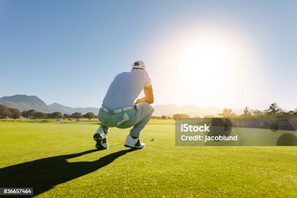 Golf Player Aiming Shot On Course Stock Photo - Download Image Now - Adult, Adults Only, Analyzing