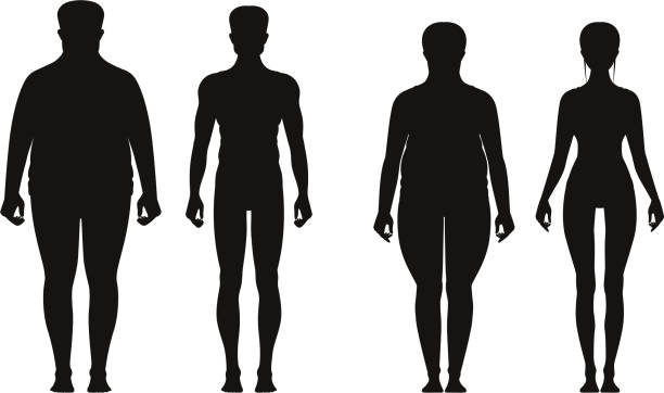 Silhouette of fat and thin peoples. Weight loss of overweight man and fat woman. Vector illustrations isolate Silhouette of fat and thin peoples. Weight loss of overweight man and fat woman. Vector illustrations isolated. People overweight and black silhouette man and woman with obesity change silhouettes stock illustrations