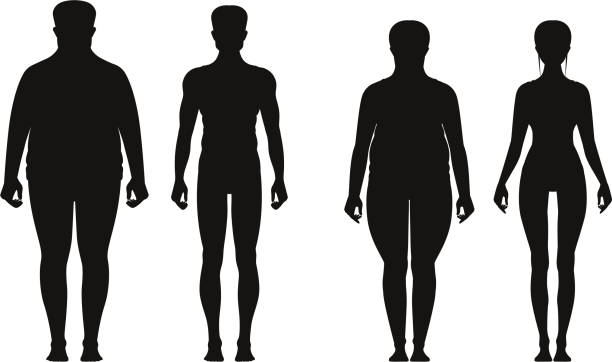 Silhouette of fat and thin peoples. Weight loss of overweight man and fat woman. Vector illustrations isolate Silhouette of fat and thin peoples. Weight loss of overweight man and fat woman. Vector illustrations isolated. People overweight and black silhouette man and woman with obesity slim woman body stock illustrations