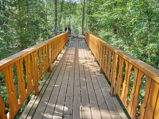 istock Wooden staircase in the woods 836660360