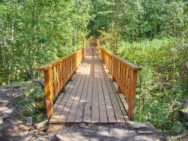 istock Wooden staircase in the woods 836661954