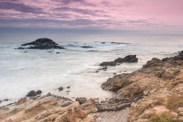 Bean Hollow State Beach Twilight. Pescadero, San Mateo County, California, USA. bean hollow beach stock pictures, royalty-free photos & images