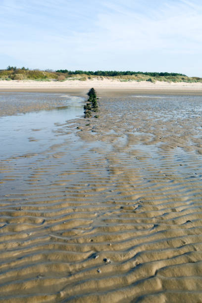 ドイツ: ワッデン海に foehr の島の西海岸にある砂丘に木製防波堤景色 - flowing blue rippled environment ストックフォトと画像