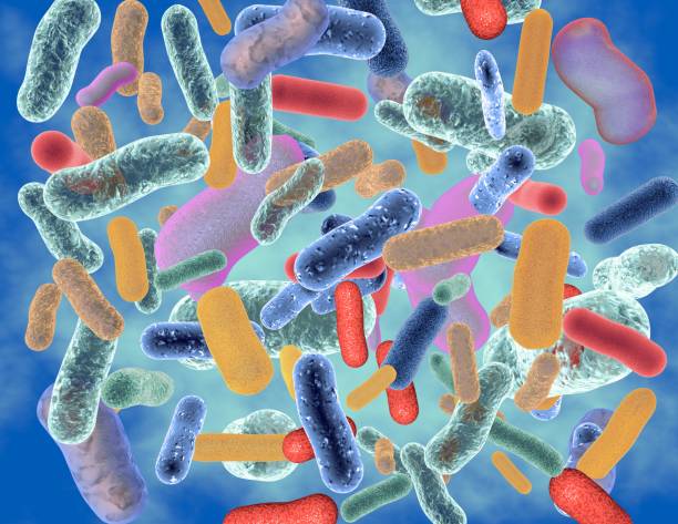 istock Abstract colorful bacteria 3D illustration. 836672742