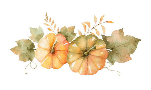 Watercolor autumn bouquet of leaves, branches and pumpkins isolated on white background. Watercolor autumn bouquet of leaves, branches and pumpkins isolated on white background. Thanksgiving illustration for your design. watercolor thanksgiving stock illustrations