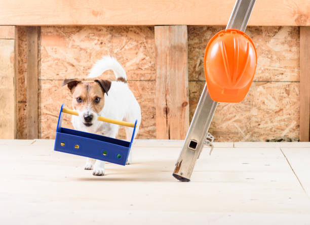 istock Concept of builder job: funny worker with toolbox and hardhat 836677680
