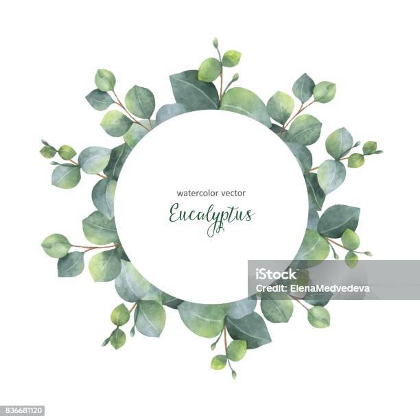 Watercolor Vector Wreath With Silver Dollar Eucalyptus Leaves And Branches Stock Illustration - Download Image Now