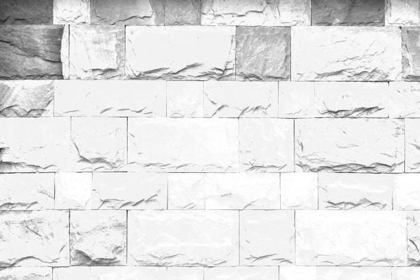 istock Black white texture pattern abstract background can be use as wall paper screen saver brochure cover page or for presentations background or articles background also have copy space for text. 836685256