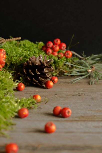 istock Rowan fruits and cones on green mch. 836688500
