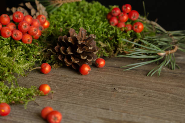 istock Rowan fruits and cones on green mch. 836688696