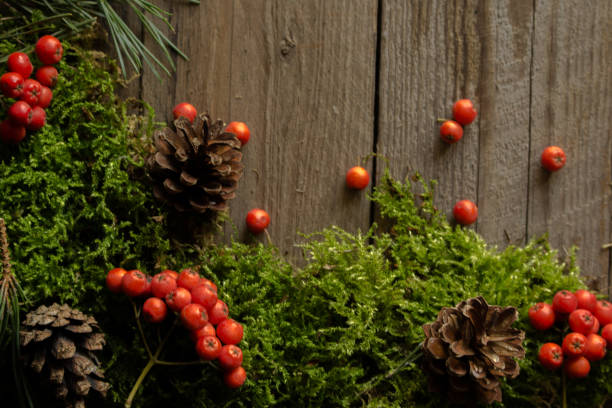 istock Rowan fruits and cones on green mch. 836688722