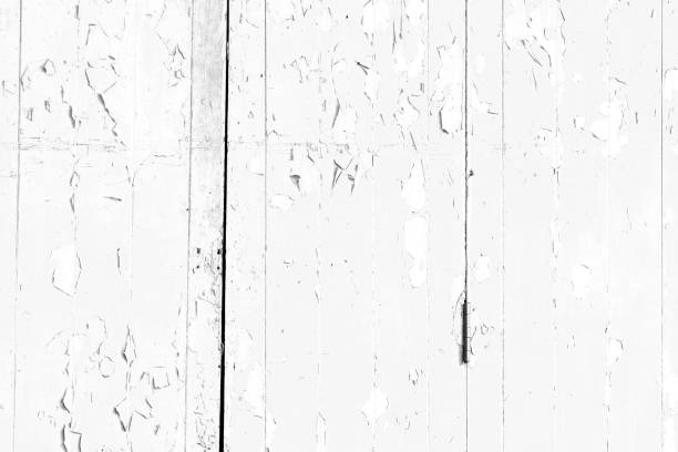istock Black white texture pattern abstract background can be use as wall paper screen saver brochure cover page or for presentations background or articles background also have copy space for text. 836689166