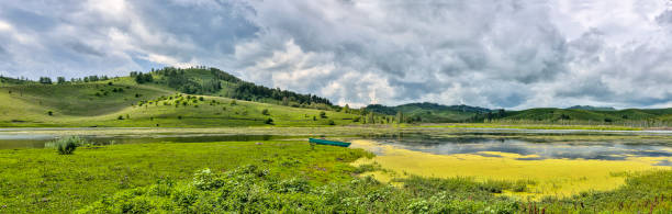 Amazing lake in mountain valley with white lilies and algaes covered - panoramic summer landscape with cloudy sky and boat on the shore of the pond, Altai, Russia