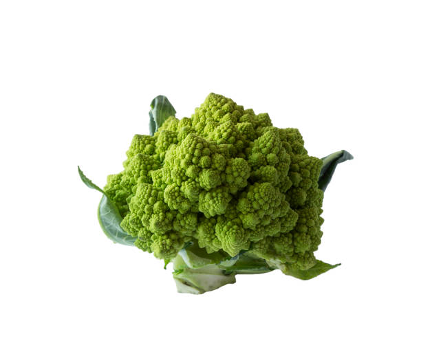 istock Roman cauliflower close up. Cauliflower isolated on white background. 836695898