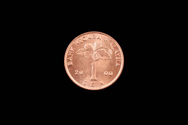 istock Malaysian one sen coin close up on black 836698866