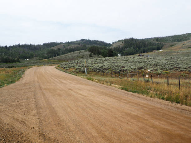 istock dirt road in rural Colorado 836704046