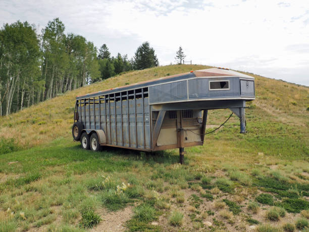 istock horse trailer on a prairie in Colorado 836704200