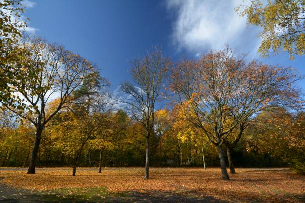 istock Golden October 2016 in Berlin Spandau, Germany 836710030