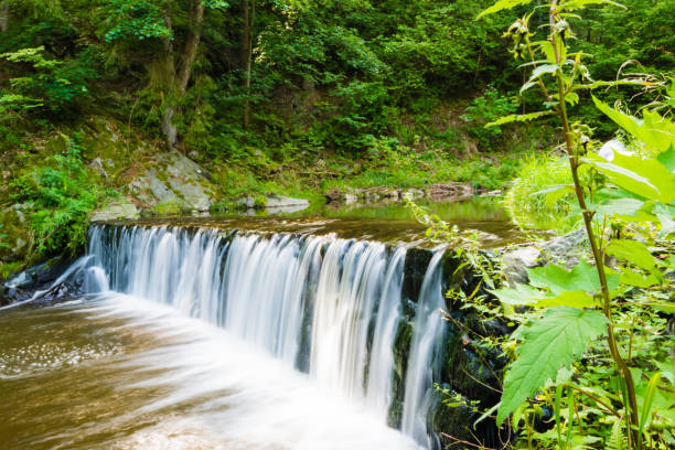istock Beautiful small waterfall on nice creek in forest 836719300