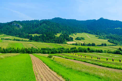 The Pieniny is a mountain range in the south of Poland and the north of Slovakia.