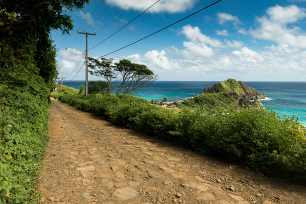 istock Fernando De Noronha - Brazil (Praia do Cachorro and Praia do Meio) 836719854