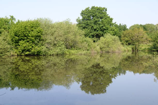 istock Lake at Klein-Welzheim, Germany 836719940