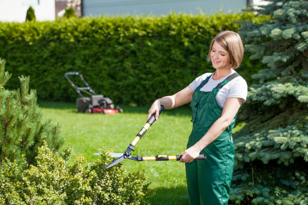 istock Young woman trimming in the garden. 836720716