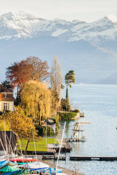 istock Panorama of Hilterfingen and Alpes 836738922