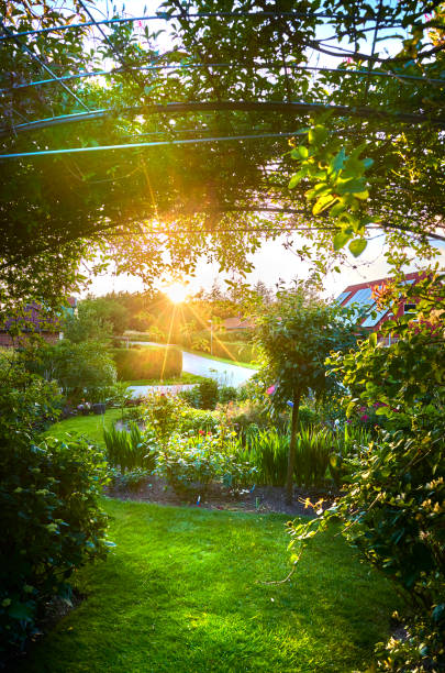 istock Small town garden with sunset lens flare 836740470