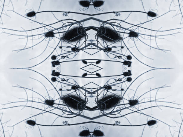 istock Black and white abstract nature kaleidoscope 836741368