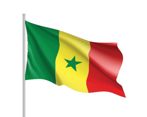 Senegal realistic flag Senegal flag. Illustration of African country waving flag on flagpole. Vector 3d icon isolated on white background. Realistic illustration senegal flag stock illustrations