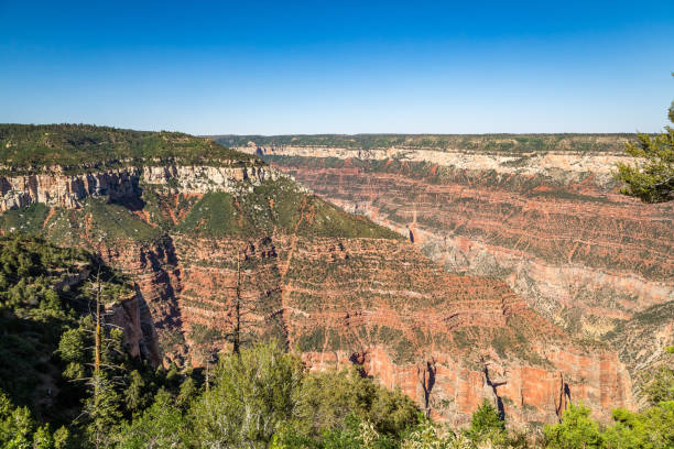 istock Grand Canyon National Park 836806780