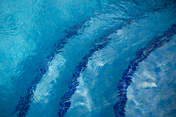 istock Swimming Pool and landscape 836828858