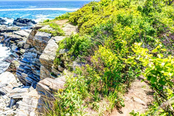 Trail on cliff with green bushes by Portland Head Lighthouse in Fort Williams park in Cape Elizabeth, Maine during summer