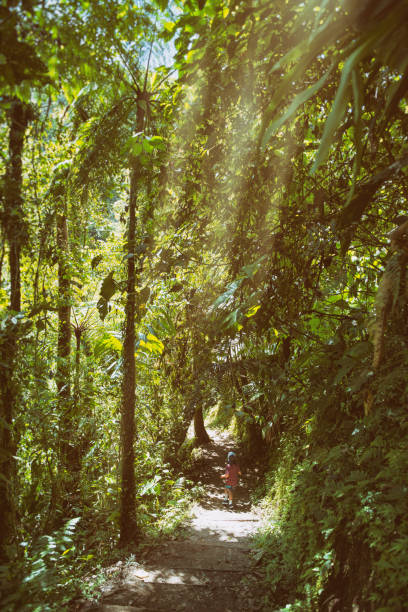 istock Beauty in the jungle 836871454