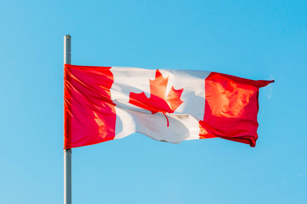 istock Waving colorful Canada flag on blue sky 836884244