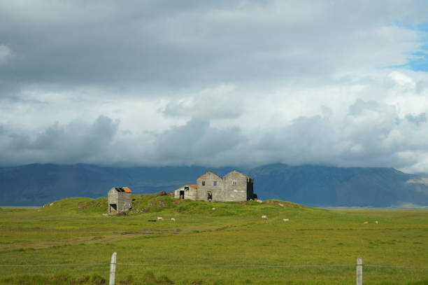 Beautiful farm in summer,Iceland,Europe.