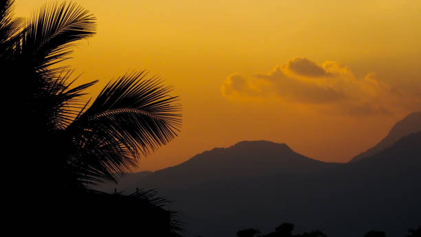 istock Yellow Sunset at Tamil Nadu Beach 836949432