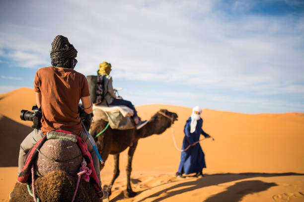 touristen auf kamelen durch die sanddünen in der sahara-wüste bei sonnenuntergang - marokko geht. - camel desert travel safari stock-fotos und bilder