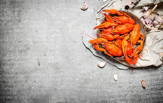 Boiled crawfish with spices and herbs. On a stone background.