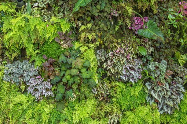 istock green leaf in agricultural farm for background 837009366