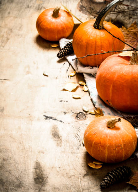istock Autumn harvest. Ripe pumpkin with leaves. 837010204